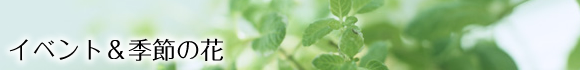 イベント＆季節の花