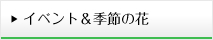 イベント＆季節の花