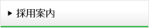 採用案内