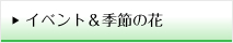 イベント＆季節の花